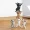 1pc/5pcs Cute Cat Pen Holder, Toy Cat Headphone Holder, Enchanted Dancing Cat Pen Holder, Home Desktop Ornament