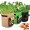 1pc-510-gallon-sweet-potato-planting-bags-garden-planting-bags-vegetable-growing-bags-fabric-potting-bags-buy-online