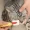 1PC Pet Tear Marks Brush Cat Dog Eye Excrement Brush Knot Brush Eye Cleaner Clip Soft Brush