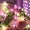 1pc LED Cherry Blossom String Lights, Girl Heart Indoor Decorative String Lights, For Bedroom, Garden, Patio Decoration Lights