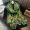 109.98cm Green Satin Square Scarf Bird Song Floral Art Print Flower Mature Shawl Thin Sunscreen Windproof Bandana Neck Decor Neck Scarf