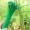 100pcs Gardening Strapping,zip Ties, Plastic Winding, Plant-fixing, Portable Gardening Cables, Gardening And Lawn Care