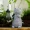 1pc Solar Garden Statue Cat Statue, Garden Art With Solar Lights, Patio, Balcony, Yard, Lawn Love Cat, A Unique Housewarming Gift For Garden Mom And Grandma