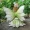 1pc Sculpture Decoration, Garden Resin Sculptures, Fairy-like European Creative Decorations, Home And Villa Decorative Crafts, For Garden And Living Room Decor, Home Decor