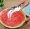 Stainless Steel Watermelon Slicer Cutter - Manual Curved Blade Fruit Divider - Durable Metal Kitchen Gadget for Effortless Cutting and Serving