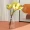 1pc, Plastic Flower Vase Creative Small Flower Plant Vase, Mothers Day Gift